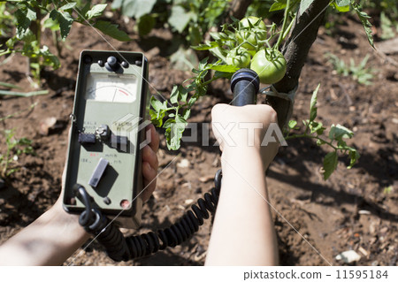 Measuring radiation  11595184