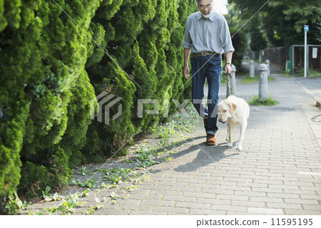 Senior · Hobby Life / scholar 11595195