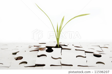 Green sprout from the earth makes its way through the puzzle. Green sprout from the earth makes its way through the puzzle. 11596207