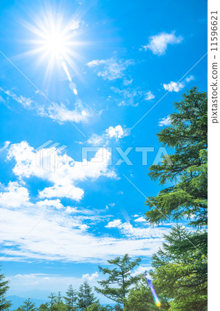 Summer sun · blue sky Summer sun · blue sky 11596621