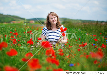 Girl gathering poppies on the field in Auvergne 11597327