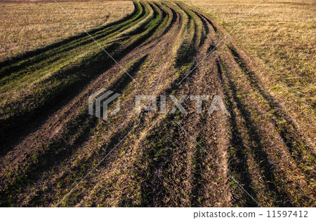 Countryside road overgrown with grass 11597412