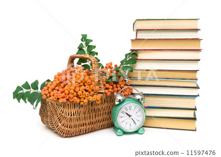rowan berries, books and clock alarm clock on a white background 11597476
