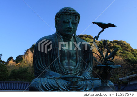 鎌倉大佛秋天 鎌倉大佛秋天 11597579