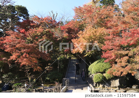 Hase-dera寺的秋天 Hase-dera寺的秋天 11597584