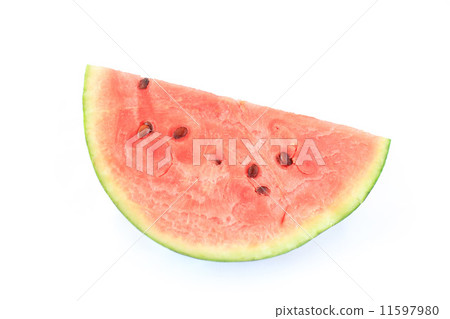 西瓜白背 西瓜白背 11597980