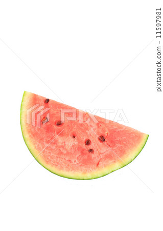 西瓜白背 西瓜白背 11597981