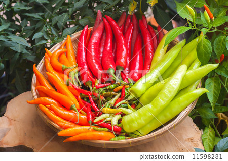 Chili papers 11598281