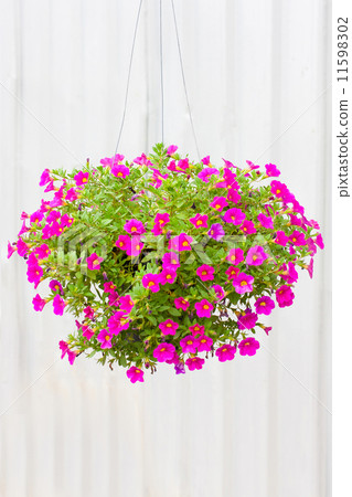 Vase flower 11598302