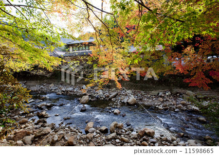 Muroji Temple 09 Muroji Temple 09 11598665