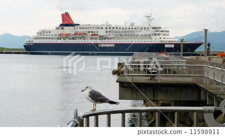青森港日本丸的客船 青森港日本丸的客船 11598911