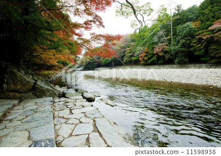 伊勢神社03 11598938