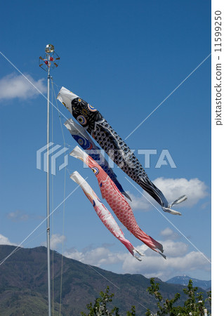 鯉魚旗 11599250