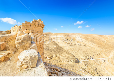 View from the showback castle (Jordan) View from the showback castle (Jordan) 11599314