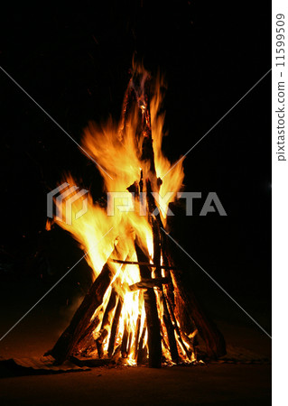 Flames of a campfire in the night 11599509