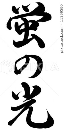 Light of fireflies 11599590