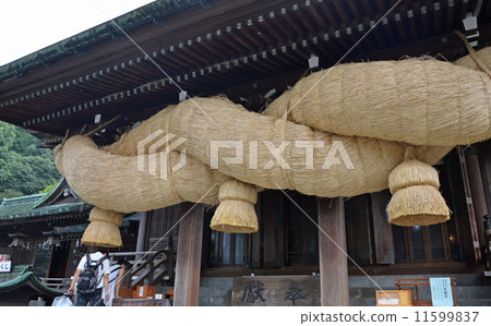 Miyajimake Shrine 11599837