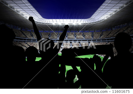 Silhouettes of football supporters Silhouettes of football supporters 11601675