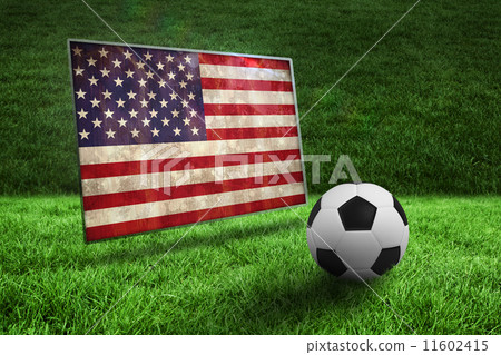 Composite image of black and white football on grass Composite image of black and white football on grass 11602415