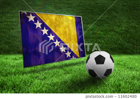 Composite image of black and white football on grass Composite image of black and white football on grass 11602480