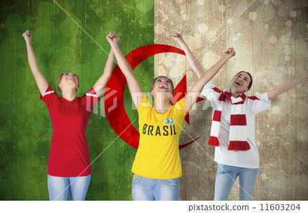 Composite image of various football fans 11603204