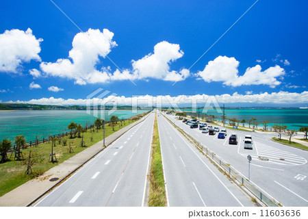 Okinawa's sea / underwater road 11603636