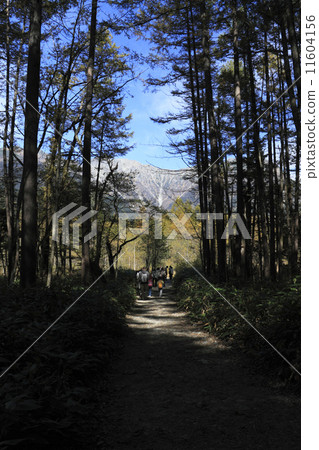 秋天Kamikochi 秋天Kamikochi 11604156