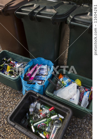 Domestic Recycling 11604261