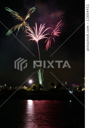 Butterflies of the night dancing in the fire flower Butterflies of the night dancing in the fire flower 11604451