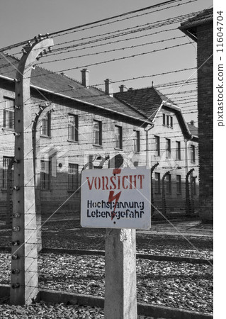 Auschwitz Concentration Camp - Poland 11604704