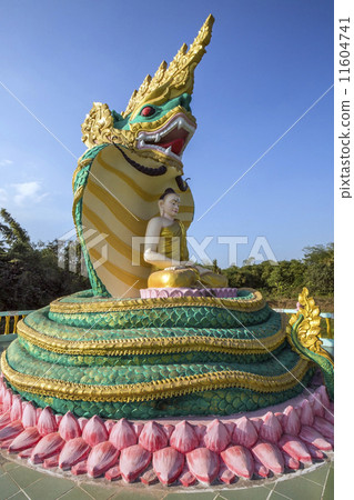 Buddha Image - Bago - Myanmar 11604741