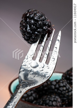 Blackberries Blackberries 11604917