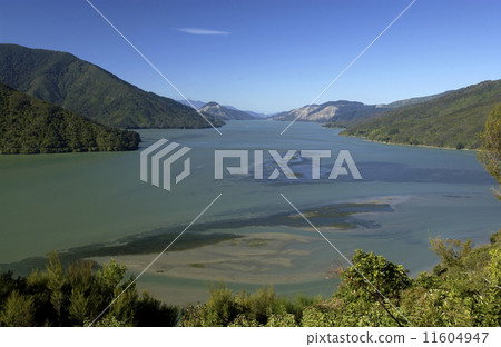 Queen Charlotte Sound - New Zealand 11604947