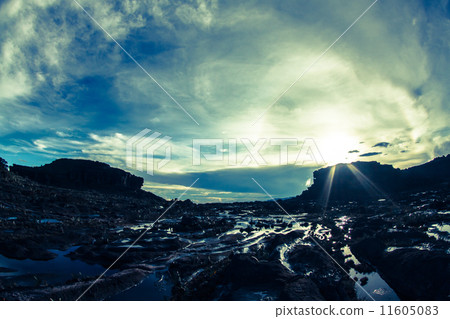 委內瑞拉圭亞那高地桌山 11605083