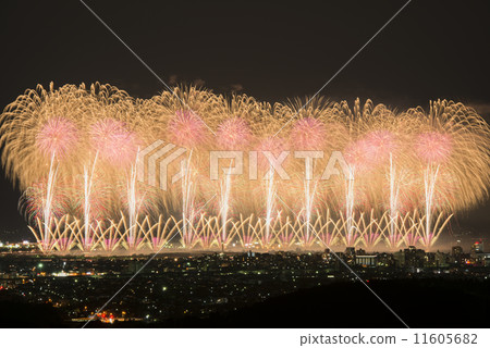 [新潟縣]長岡煙花-鳳凰城- 11605682