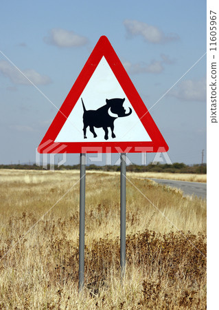 Danger Warthogs Road Sign 11605967
