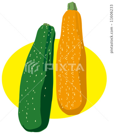 Zucchini 001 11606233