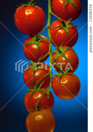 Vine Tomatoes 11606359