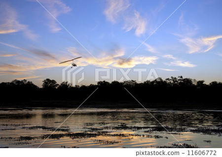 African Sunset 11606772