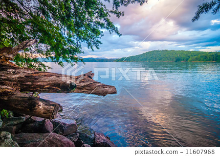 scenery around lake jocasse gorge 11607968