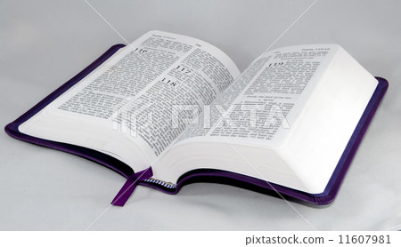 open Bible isolated on a white background. 11607981