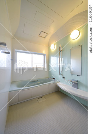 Bathroom Bathroom 11609194