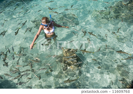 Girl in snorkel gear with fish in tropical lagoon. South Pacific Girl in snorkel gear with fish in tropical lagoon. South Pacific 11609768
