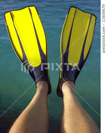 Tropical Vacation 11609879