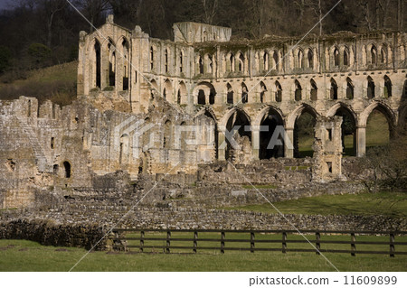 Riuns of Rievaulx Abbey - North Yorkshire - England Riuns of Rievaulx Abbey - North Yorkshire - England 11609899