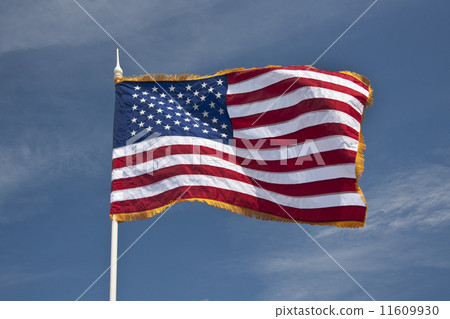 Flag of the United States of America 11609930