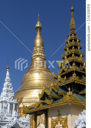 Shwedagon Pagoda - Yangon - Myanmar (Burma) Shwedagon Pagoda - Yangon - Myanmar (Burma) 11610059