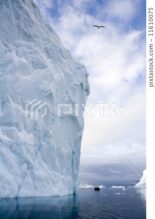 Iceberg - Northwest Fjord - Scoresbysund - Greenland 11610075