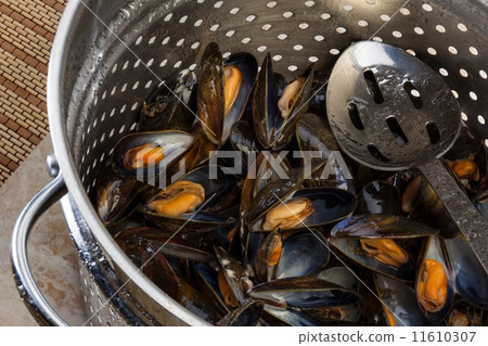 Cooking Fresh Mussels 11610307