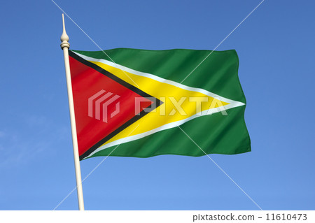 Flag of Guyana 11610473
